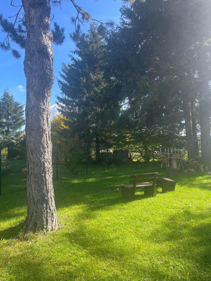 Apartman Studnice Na Vysocine Nove Mesto na Morave Exterior foto